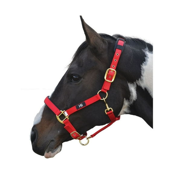 Hy Deluxe Padded Head Collar