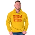 thumbnail image 3 of Mechanic Cant Fix Stupid Rude Honest Hoodie Hooded Sweatshirt Men Brisco Brands 2X, 3 of 6