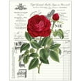 thumbnail image 3 of Chilton, Sarah E 12x14 Black Modern Framed Museum Art Print Titled - Heirloom Roses B, 3 of 5