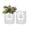 Clear, variant on EZPXFCI 1PCS Self Watering Planters 4.72 Inch Self Watering Pots for Indoor Plants, African Violet Pots with Wick Rope, Flowers, Succulents, Herb, House Plants