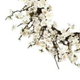 thumbnail image 2 of 24" Plum Blossom Wreath, 2 of 3