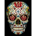 thumbnail image 1 of Pintura de diamante (DB6402) Calavera de flores Imagen de diamantes de imitación de resina redonda completa (Q1576) 20X30cm Hugtrwg Para estrenar, 1 of 1
