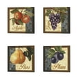 thumbnail image 1 of Great Art Now Fruit Illustration by Abby White 4 Piece Canvas Art Set Each 14W x 14H, 1 of 5