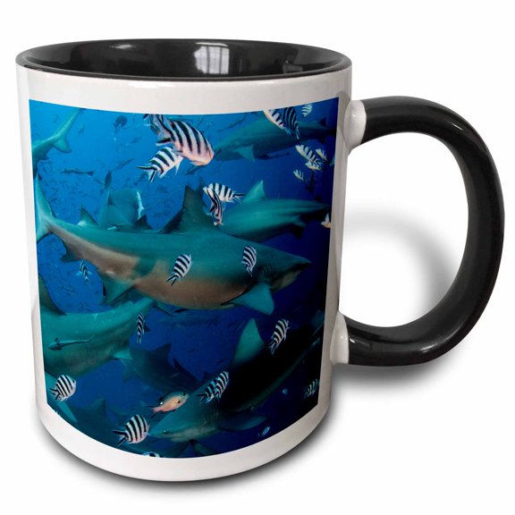 3drose, Bull Shark, Carcharhinus Leucas, Fiji., 15oz Two-tone Black Mug
