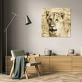thumbnail image 3 of Susann Parker 26x26 Gallery Wrapped Canvas Wall Art Titled - Young Lion, 3 of 4