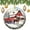 pattern-4, variant on Zebra Christmas Zebras Winter Animals Christmas Ceramic Ornament Zebra Animal 3" Circle Ceramic Ornament Xmas Holiday Keepsake Christmas Tree Decoration Funny Gifts for Women/Men