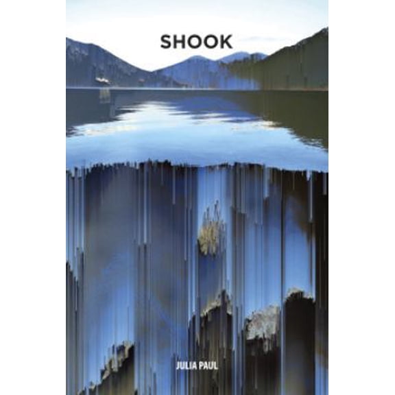Pre-Owned Shook (Paperback) 0991386159 9780991386154