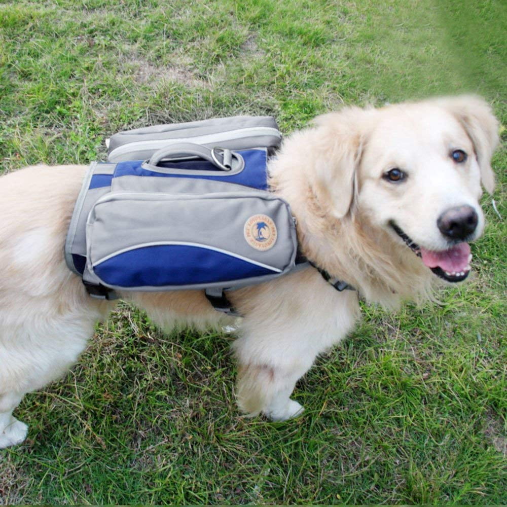 Best Backpacking Dog Bowl IUCN Water