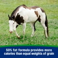 thumbnail image 4 of Farnam Weight Builder Equine Weight Supplement 7.5 pounds, 4 of 16