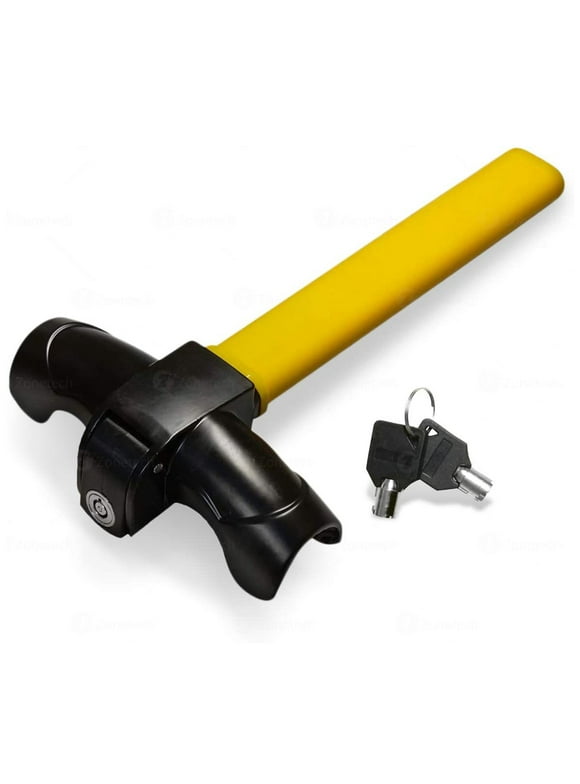 Car AntiTheft Devices in Car Safety & Car Security