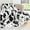 Cowthrowblanket-black, variant on Bacon Lover's Flannel Blanket - Realistic Bacons for Food Enthusiasts Throw - Soft Cozy Blankets for Quirky Kitchen Decor, Foodie Gifts, and Fun Home Accents 50x60in