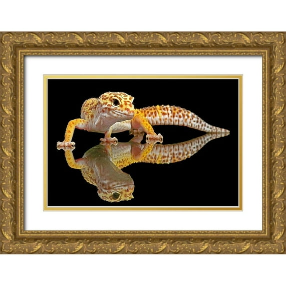 Oesin, Dikky 18x13 Gold Ornate Wood Framed with Double Matting Museum Art Print Titled - Leopard Gecko