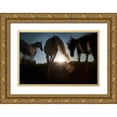 thumbnail image 1 of Malovrh, Milan 18x13 Gold Ornate Wood Framed with Double Matting Museum Art Print Titled - Sunrise, 1 of 4