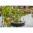 thumbnail image 4 of PondH2o Floating Aquatic Water Garden Pond Planter Basket, 10 Inch Round Fabric Floatable Flower Plant Pot Aquaponics, Hydroponics, 4 of 9