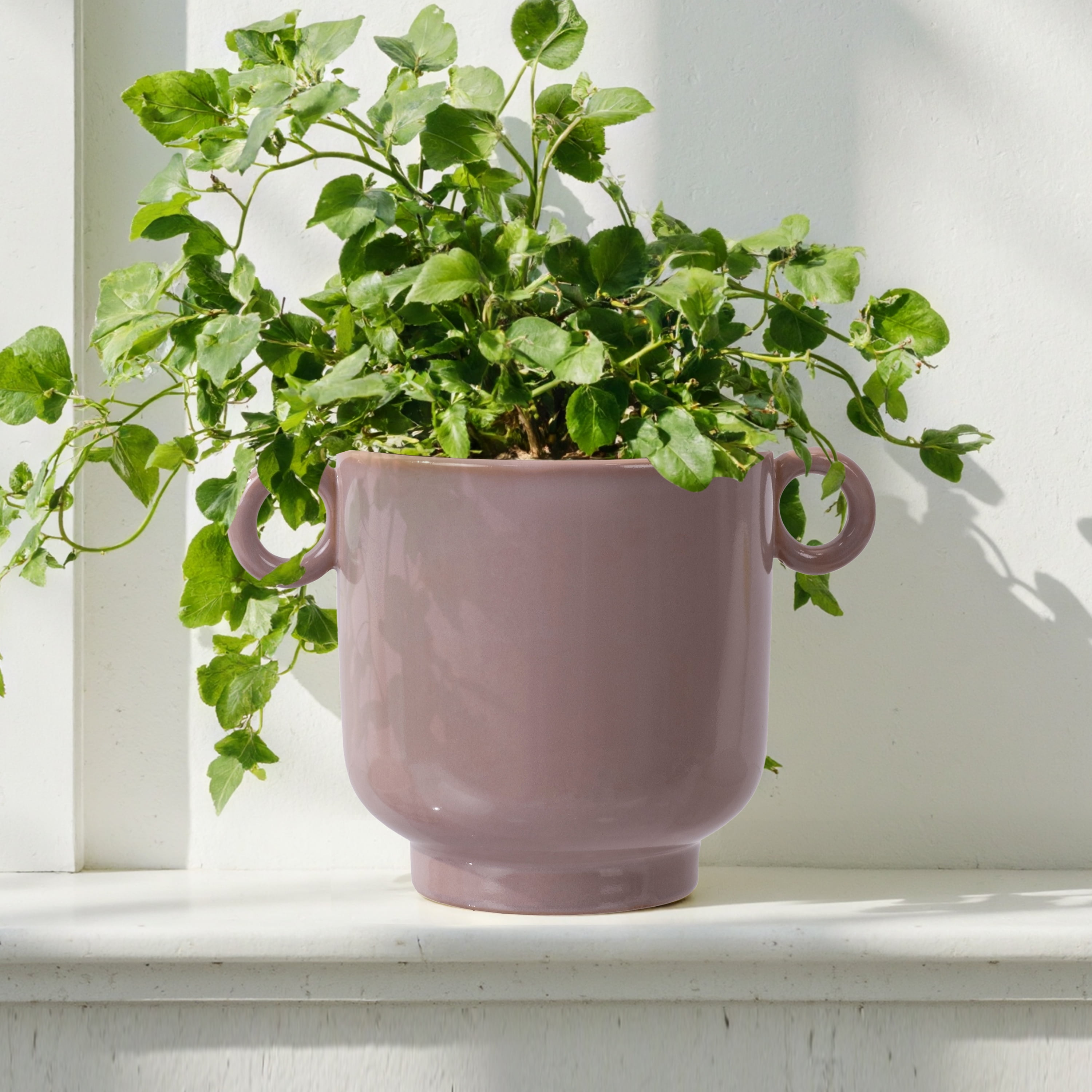 Beautiful 6" Rose Pink Handled Ceramic Planter by Drew Barrymore