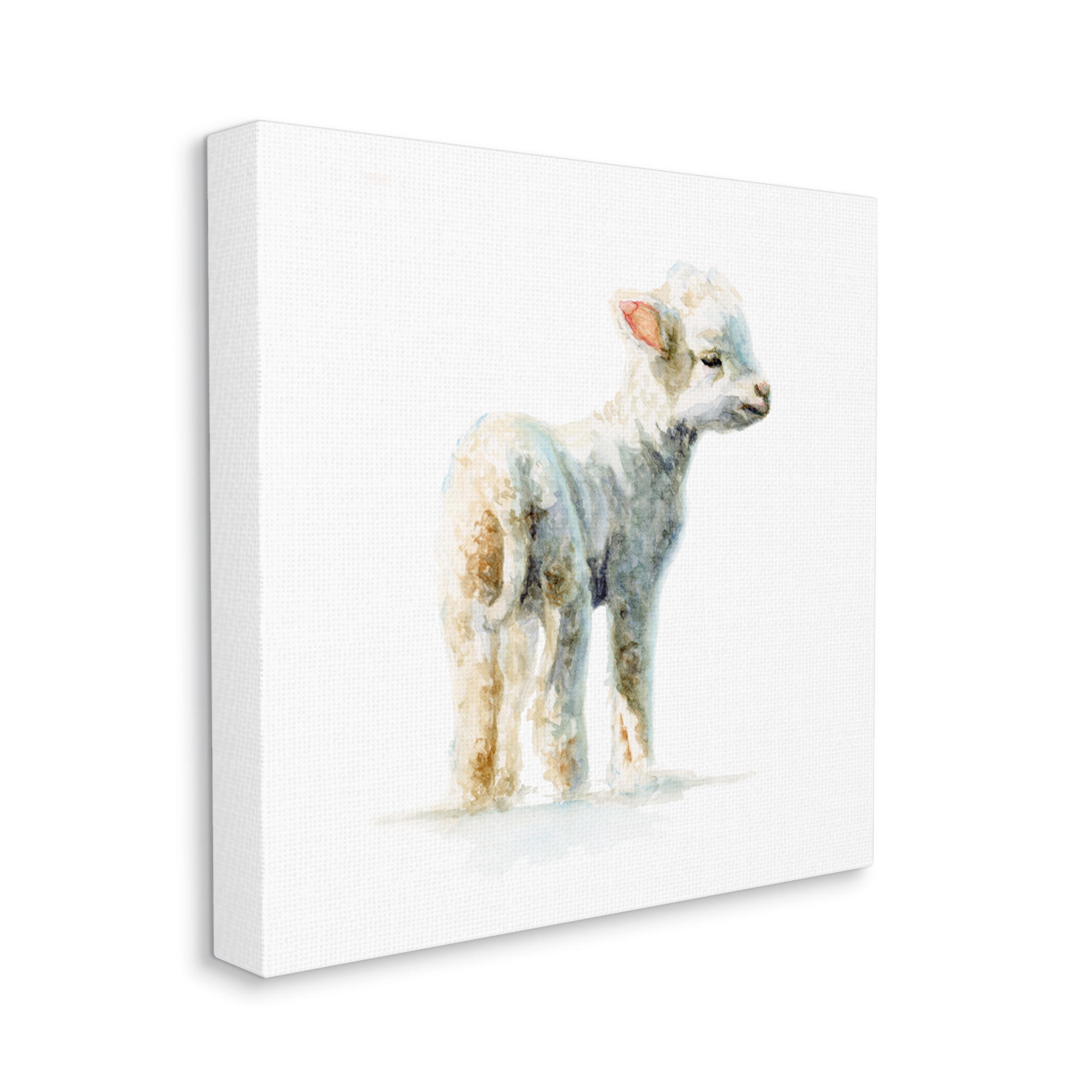 Stupell Industries Shaggy Lamb Watercolor Painting Children's Nursery Animal, 36 x 36,Design by Fox Hollow Studios