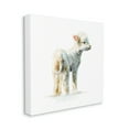 thumbnail image 3 of Stupell Industries Shaggy Lamb Watercolor Painting Children's Nursery Animal, 36 x 36,Design by Fox Hollow Studios, 3 of 7