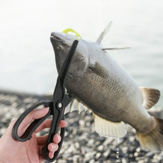Fish Grabber Portable Fish Grippers for Fishing Controller with Mounting  Base Accessories Outdoor Fish Lip Grip Fillet Clamp Fish Tail Clip 