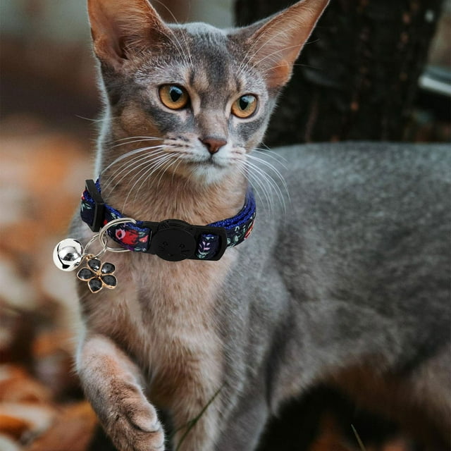 Riforla Fragmented Cat Ribbon Cat Collar Fresh Little Fragmented Cat Ribbon Cat Collar Pet Collars Blue 4x14x2cm