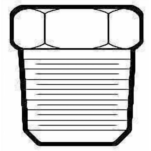 Anderson Fittings Bouchon de Raccord 121AS-D; 1/2 Pouce NPT; Laiton; Simple; Ne Convient Pas à l'Eau Potable