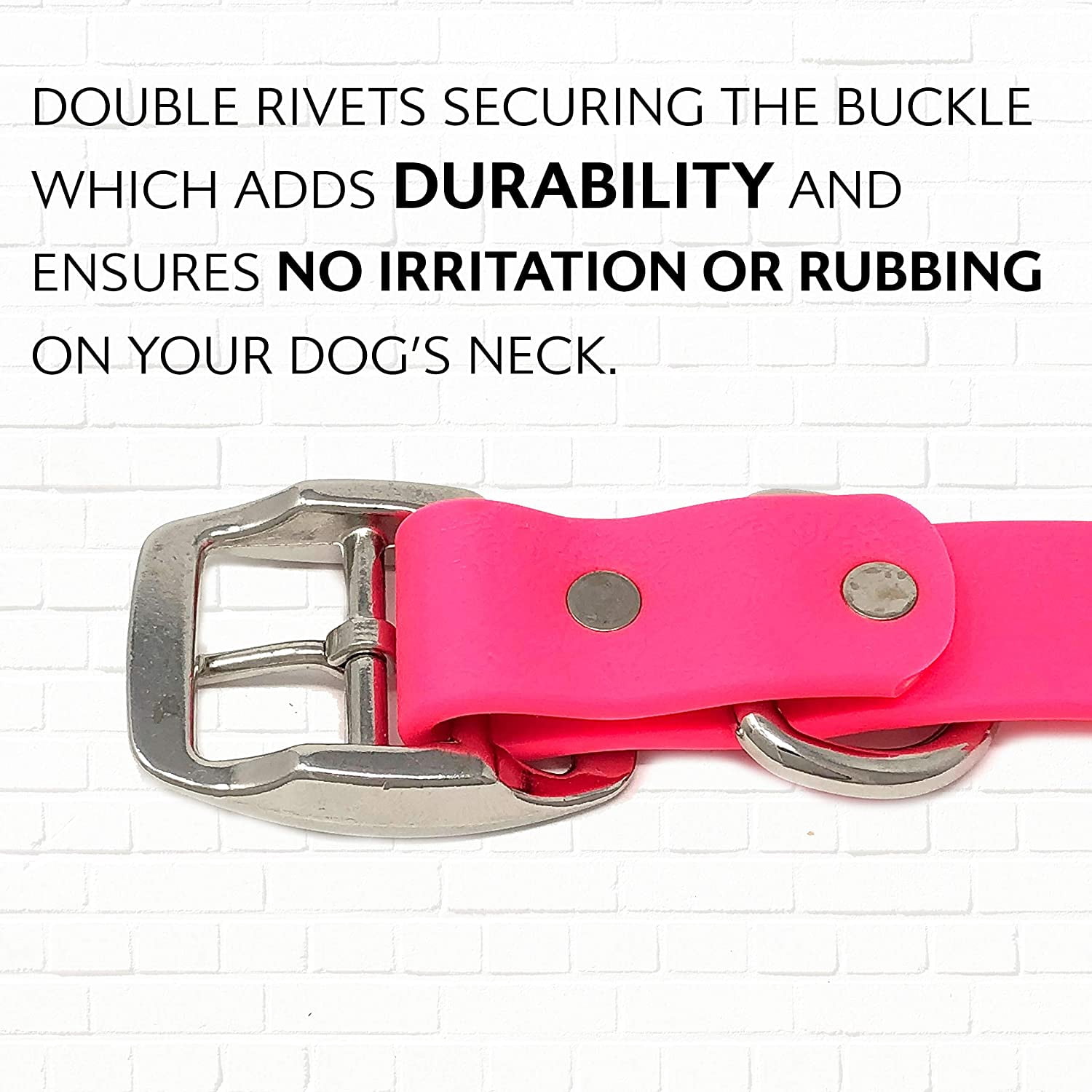Regal Dog Products Waterproof Collar Heavy Duty Center Ring with D ring