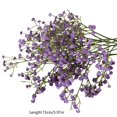 thumbnail image 3 of Babys Breath Artificial Flowers, 2Pcs 5.9inch Gypsophila Faux Flowers, Exquisite Photography Props, Ideal for Wedding Bouquets Party Home Garden Decoration(Purple), 3 of 6