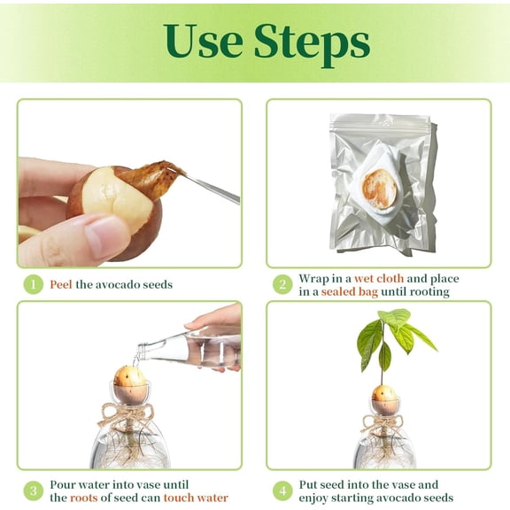 Avocado Seed Starter Vase: 3 Pcs Glass Avocado Tree Growing Kit Pot for Indoor Plant - Rustic Acorn Vases for Plant Gardening Lovers$$Home Decor, Kitchen, & Other