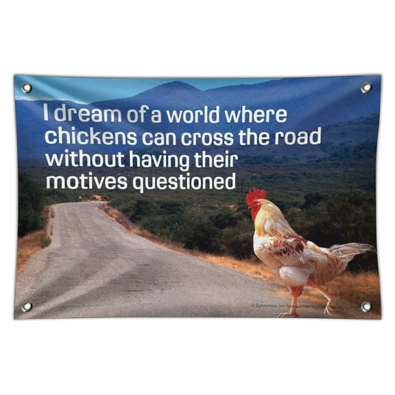 I Dream of a World Where Chickens can Cross the Road Without Motives Questioned Funny Humor Home Business Office Sign
