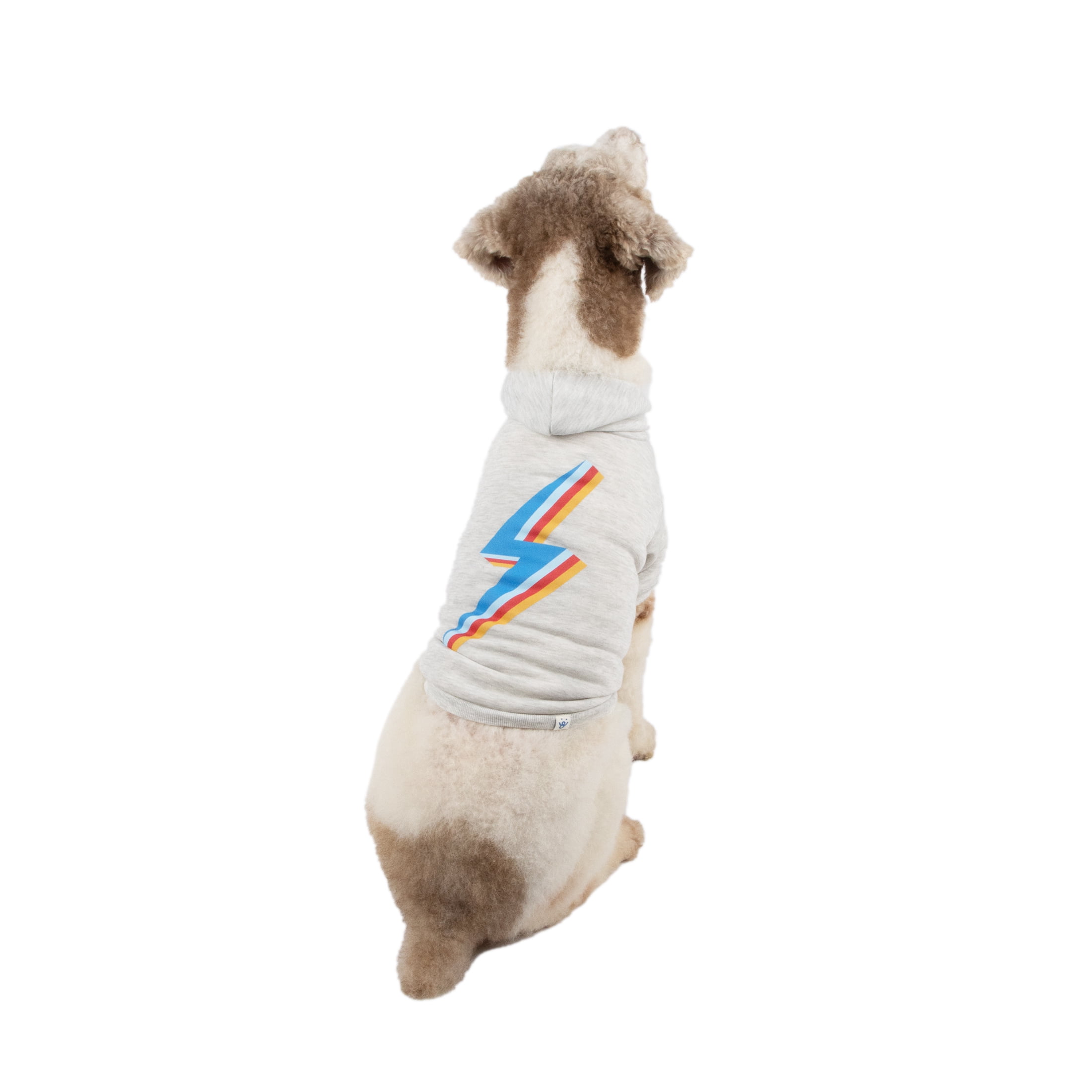 Oodles Lightning Bolt Bubble Hem Fall Dog Hoodie, White, Small