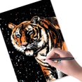 thumbnail image 3 of Set de papel para rascar Art Scratch Georgie Porgy, A4, kit de animales mágicos, 3 of 7