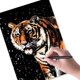 thumbnail image 3 of Set de papel para rascar Art Scratch Georgie Porgy, A4, kit de animales mágicos, 3 of 7