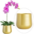 thumbnail image 2 of Brass Toned Round Cactus Plant Pot with Drainage Hole B, 2 of 8