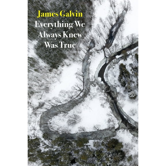 Everything We Always Knew Was True, (Paperback)