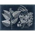 thumbnail image 2 of Vision Studio 24x19 Gold Ornate Wood Framed with Double Matting Museum Art Print Titled - Foliage on Navy III, 2 of 4
