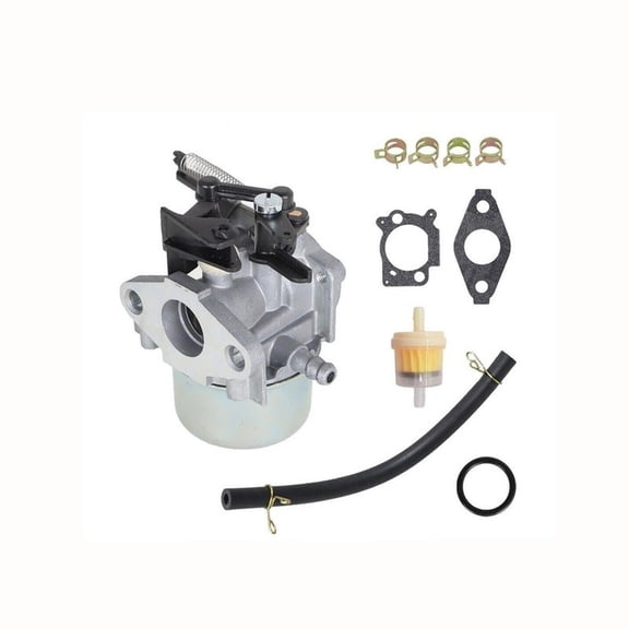 Carburetor For Briggs & Stratton 799248 796608 594287 11P902 11P905 11P907 carb