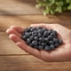 thumbnail image 5 of Blueberry Deshidratado 100% Fruta Natural Ceiba Alimentos Mini Blueberries Enteros 100 g, 5 of 6