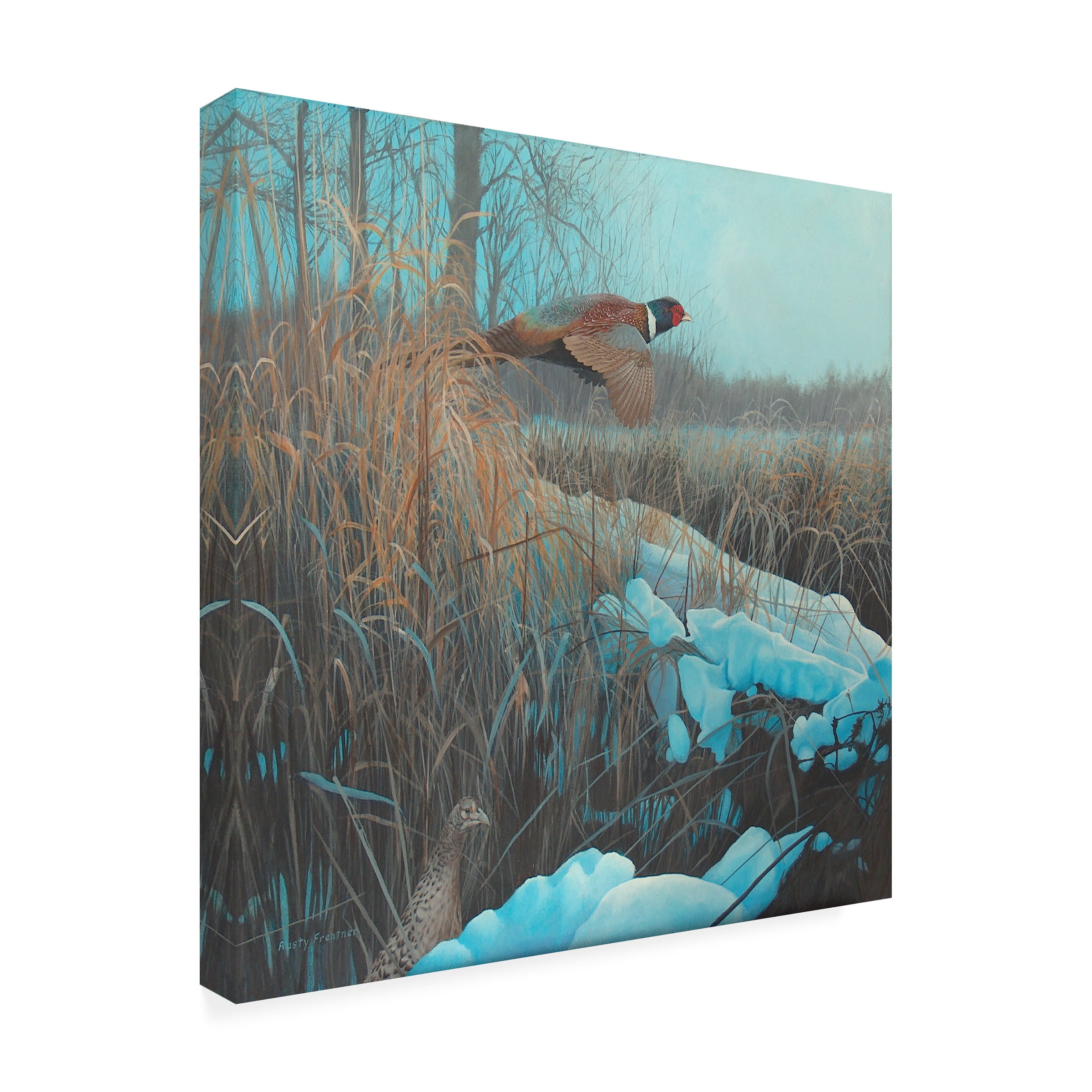 Trademark Fine Art 'Pheasant Acrylic 067' Canvas Art by Rusty Frentner