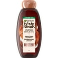 thumbnail image 1 of Garnier Whole Blends Coconut Oil & Cocoa Butter Smoothing Shampoo for Frizzy Hair, 1 of 9
