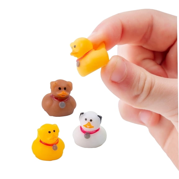 Fun Express Micro Dog Rubber Ducks - 24 Piece