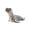 A, variant on Realistic Seal Plush Toy, 3D Life-Like Harbor Spotted Seal Stuffed Animal Pillow, Soft Sea Lion Aquatic Mammal Doll