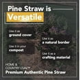 thumbnail image 6 of Premium 4 Pound Pine Straw Mulch for Landscaping, Organic Material Made from Authentic Pine Needles Ideal for Gardening, Soil Moisture Retention., 6 of 7