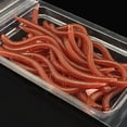 thumbnail image 4 of Cebo de lombriz de tierra 10 cm StickBaits para tacleadas de pesca de agua dulce 20pcs, 4 of 6