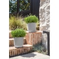 thumbnail image 4 of Veradek Mason Series Kona 10" Plastic-Stone Planter 2-Pack White, 4 of 10