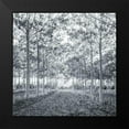 thumbnail image 2 of Frank, Assaf 20x20 Black Modern Framed Museum Art Print Titled - Pathway through trees in forest, 2 of 5