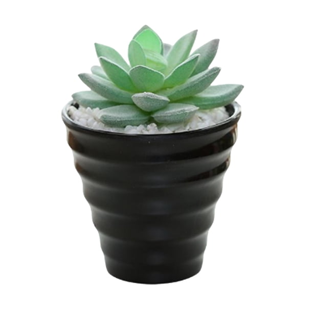 Suculentas falsas con macetas Simulación al aire libre Suculentas PVC Mini plantas Boda Oficina Adornos de arreglos de escritorio Decoración Tipo 2 Naiovety