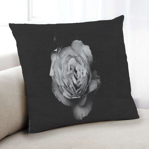 Ahgly Company Color Focus Black Indoor Throw Pillow, 18 inch by 18 inch