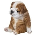thumbnail image 6 of Sitting Sleepy Bulldog Puppy, 6 of 6