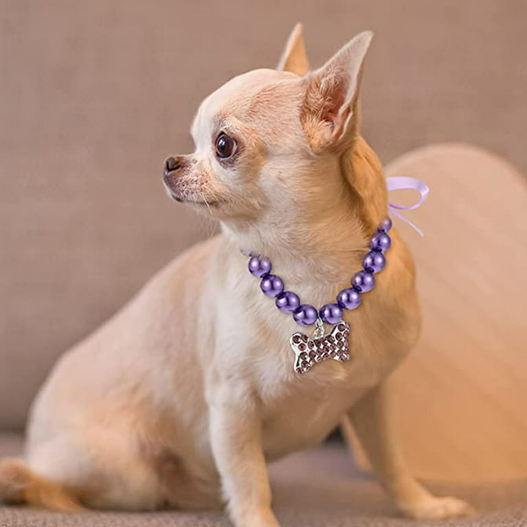 Rhinestone and Pearl Dog Collar Unique Dog Collars Medium 
