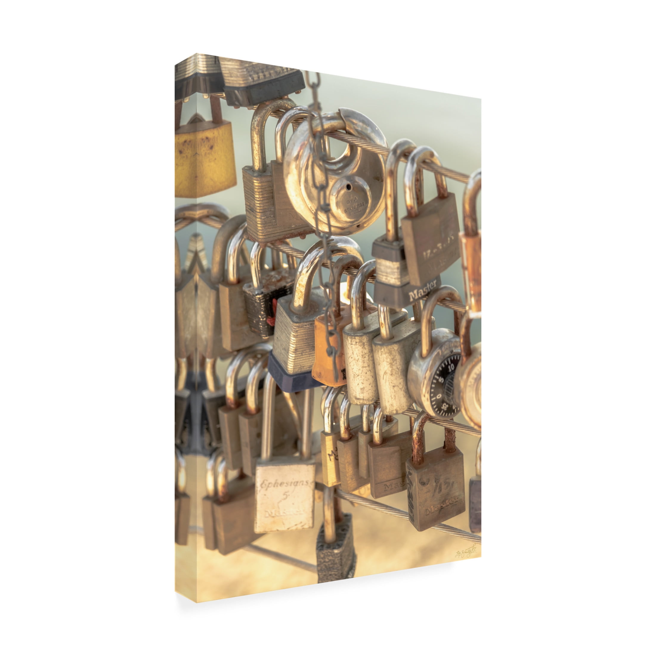 Canvas Wall Art - Life BeautifuLEE 'Lock and Love 5' Wall Art for Living Room, Bedroom, or Office Décor by Trademark Fine Art - 30 x 47 Inches