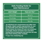 Special Kitty Gourmet Formula Seafood Blend Flavor Dry Cat Food, 16 lb Bag